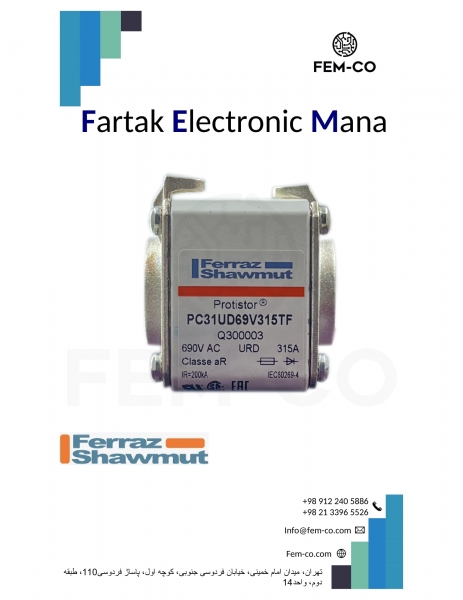 FUSE FERRAZ 315A 690V PC31UD69V315TF Q300003 SQUARE BODY FAST